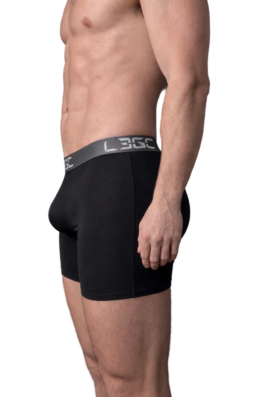BRIEFS V2